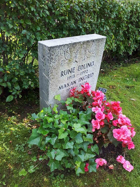 Gravnummer: NK F D    46