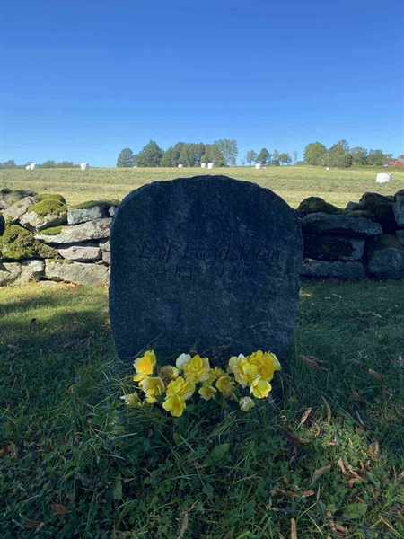 Grave number: SKÄ A  2400