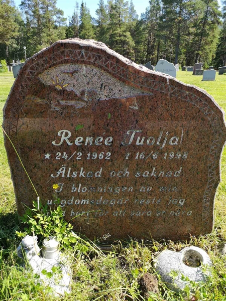 Hautatunnus: PK   481