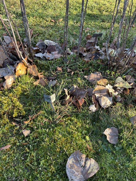 Gravnummer: GK A 3   574