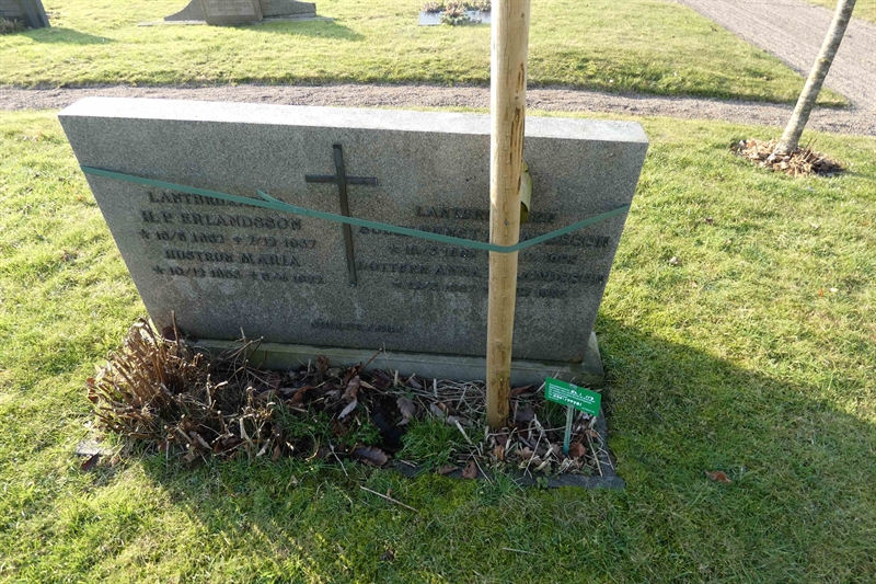 Grave number: EL 1   117