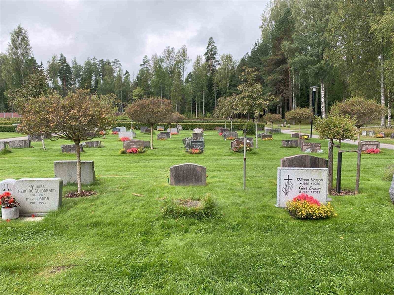 Grave number: 1 19     75, 76