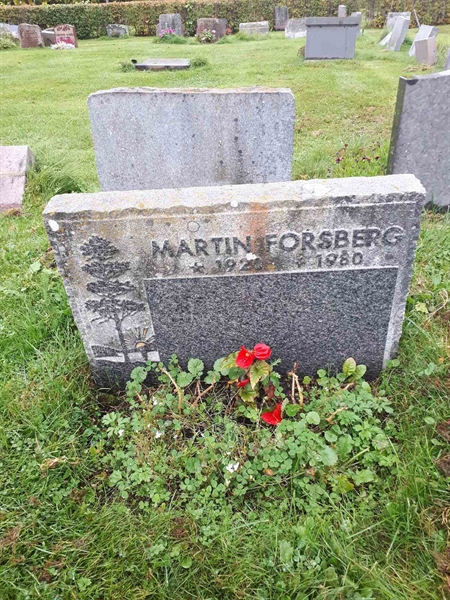 Hautatunnus: NK F B  1007