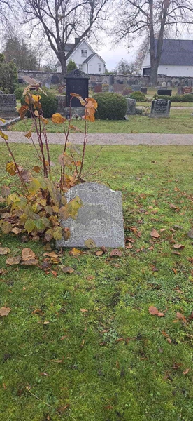 Grave number: 1 44    41-42