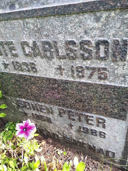 Grave number: NK F B   205A