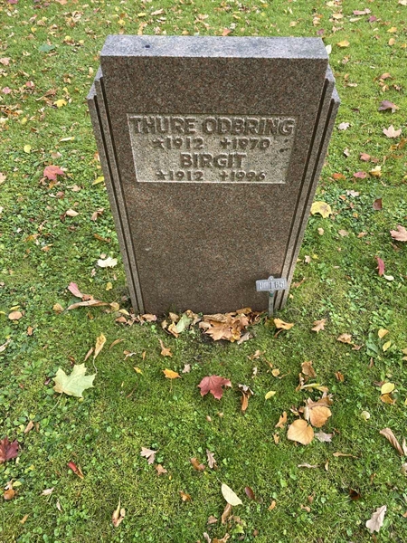 Hautatunnus: 1 H   164