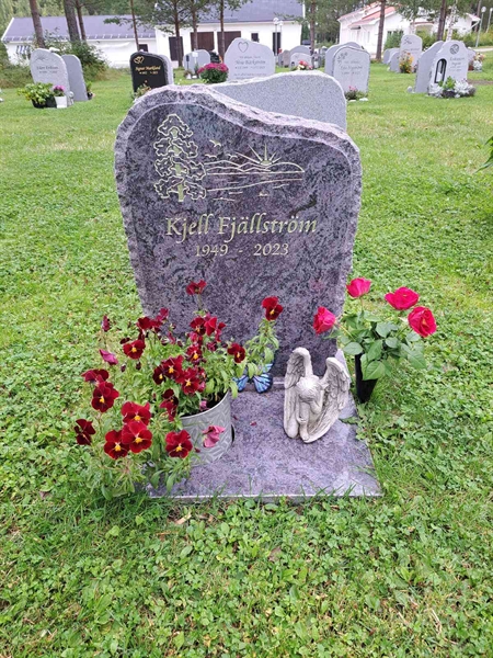 Grave number: 2 Q  2738