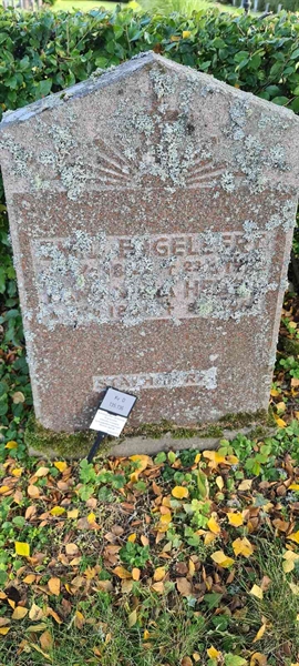 Grave number: M D  135, 136