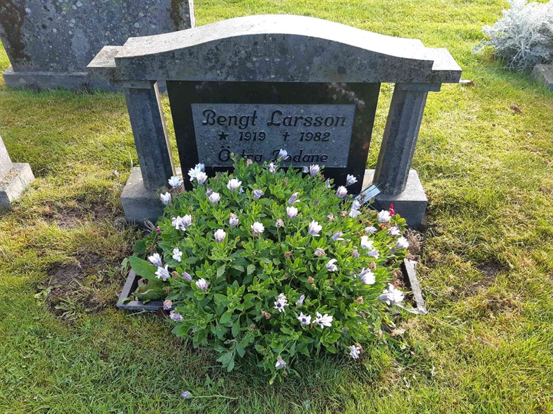 Grave number: Fr 8   530