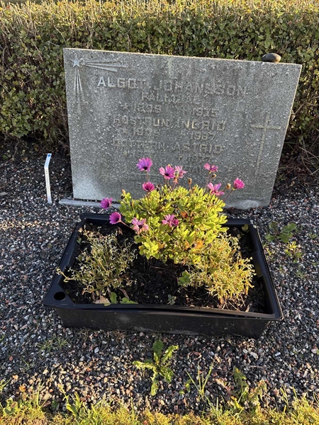 Grave number: 4 N NB   117-118