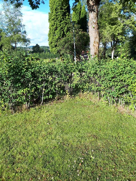 Gravnummer: GK F 5   450