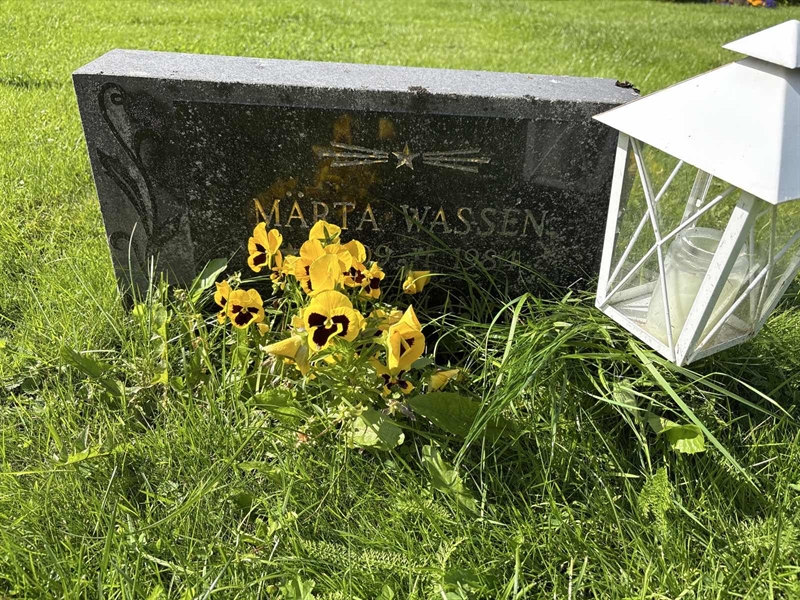 Grave number: SÄ NYA   193