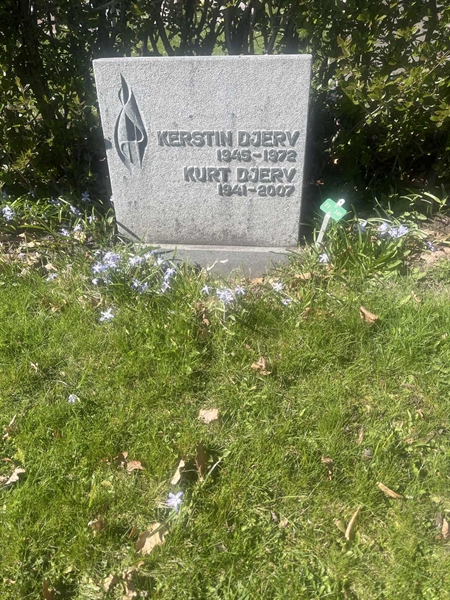 Grave number: 1 3 F1 245