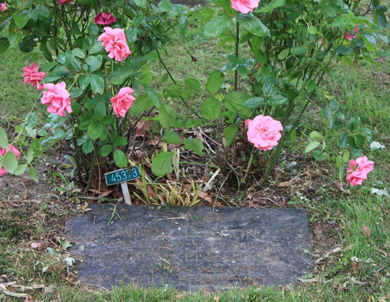 Grave number: Ö 45   373