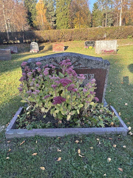 Hautatunnus: R 4   333-334