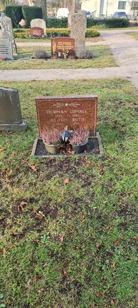 Grave number: 1 06    37-38