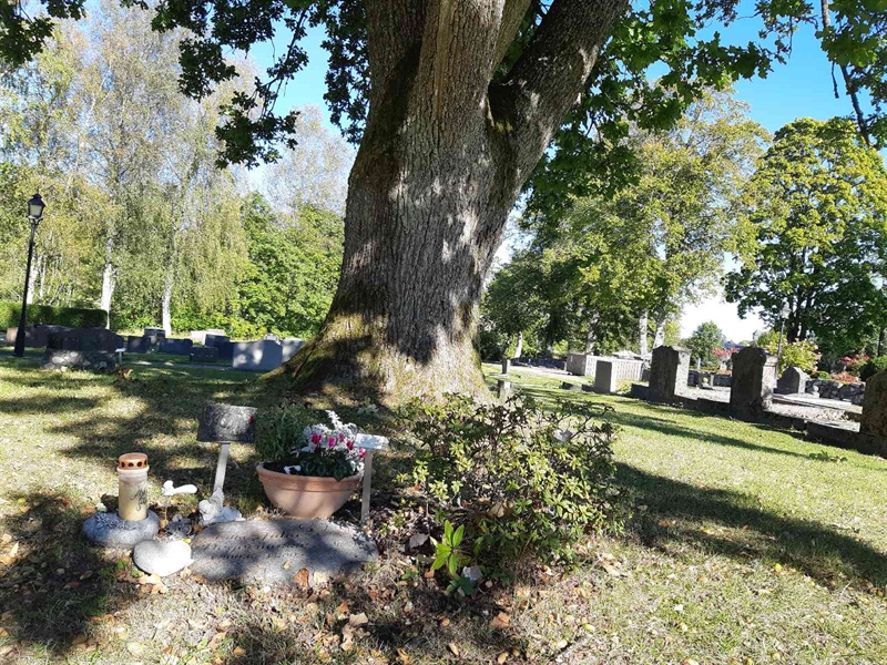 Hautatunnus: Fr 7   564