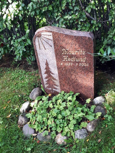 Hautatunnus: NK F D   459