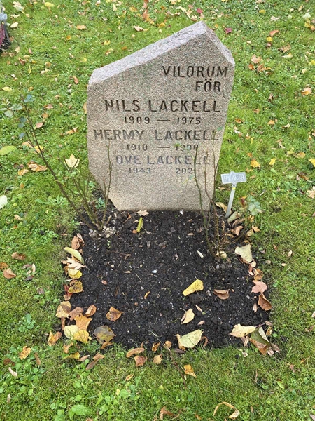 Hautatunnus: 1 H   229