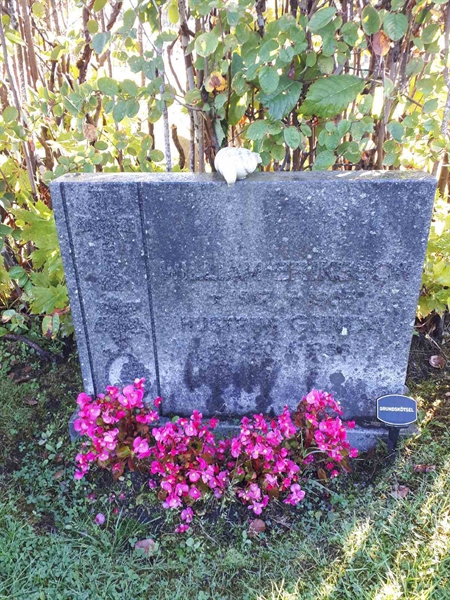 Hautatunnus: NK F B    46