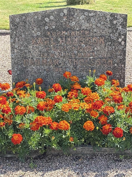 Grave number: 33 5   220