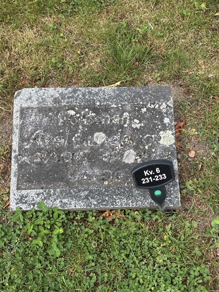 Grave number: 33 6   231-233