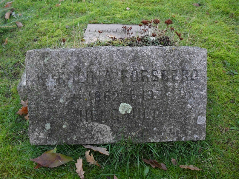 Grave number: 3 GK   251