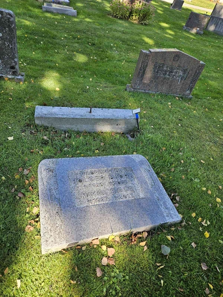 Grave number: Fr 7   368-369