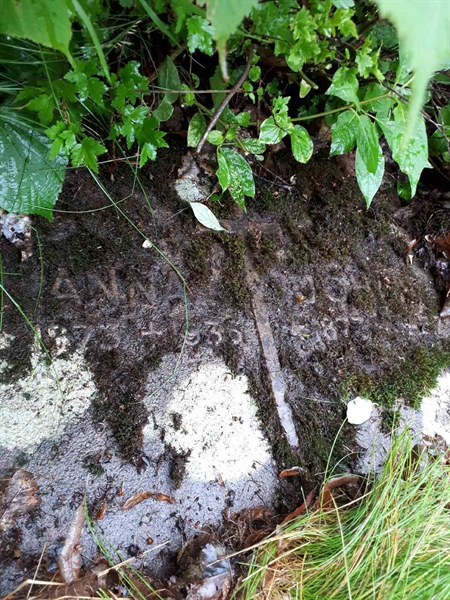 Grave number: GK F 5   582