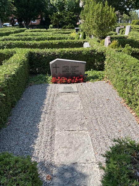 Grave number: NK VI     8a