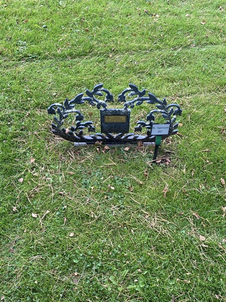 Hautatunnus: 2 C   807