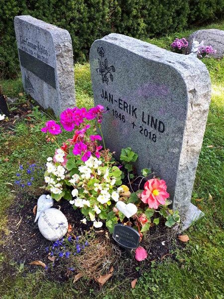 Hautatunnus: GK U 4   568