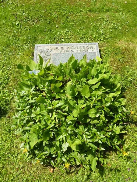 Grave number: 1 G  113