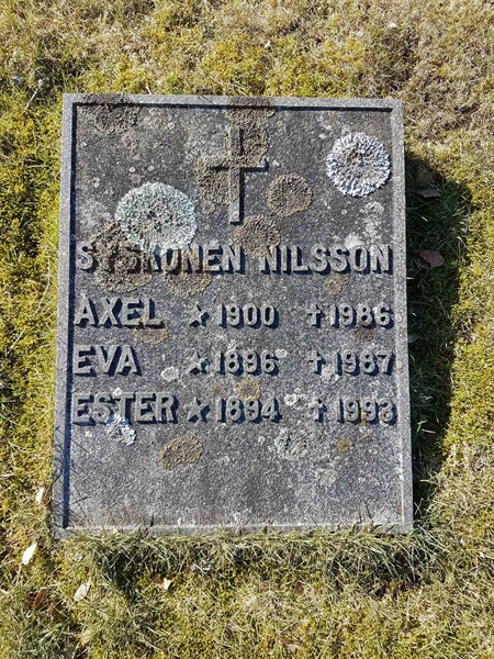 Grave number: RK Ä 2    17, 18, 19