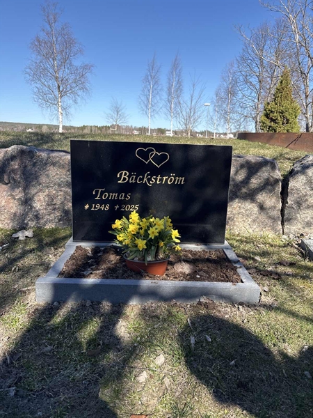 Grave number: H A10    31