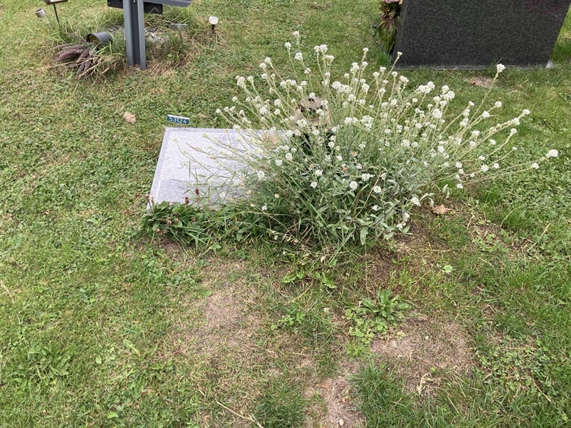 Grave number: R 03   202, 203