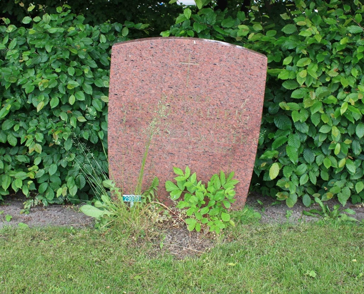 Grave number: Ö 29    14, 15