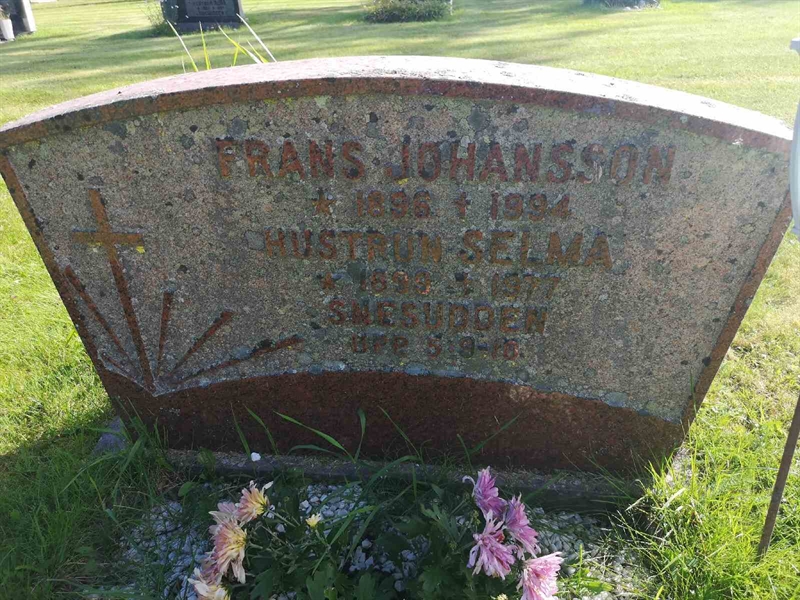 Gravnummer: POK 02     8