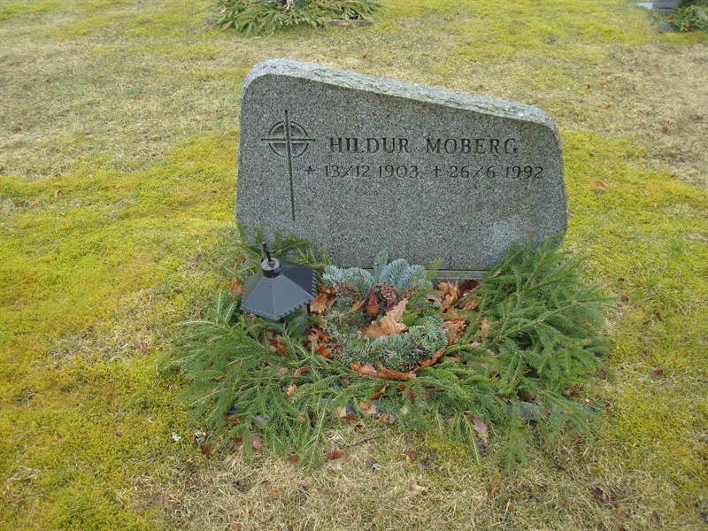 Grave number: BR D   231