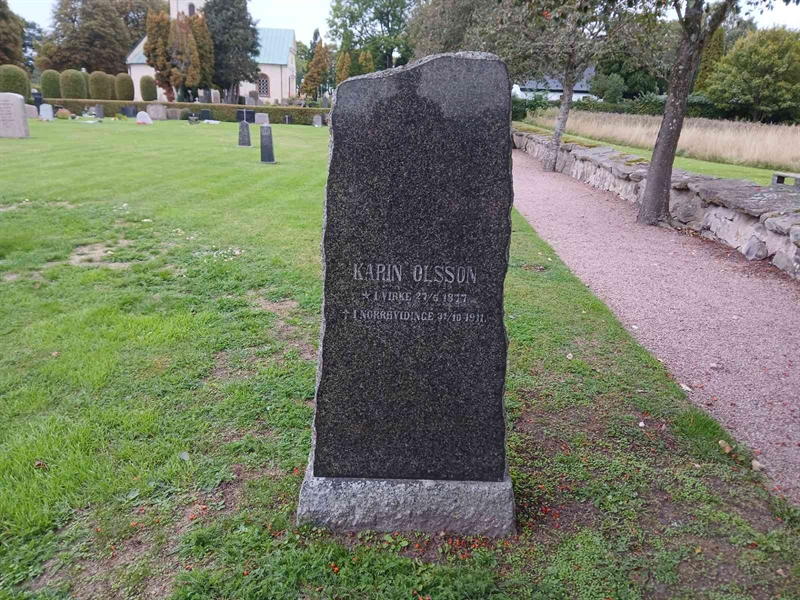 Hautatunnus: NV C    133