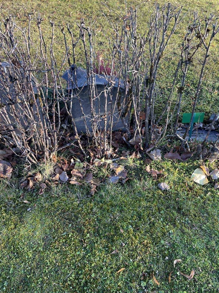 Gravnummer: GK A 3   576