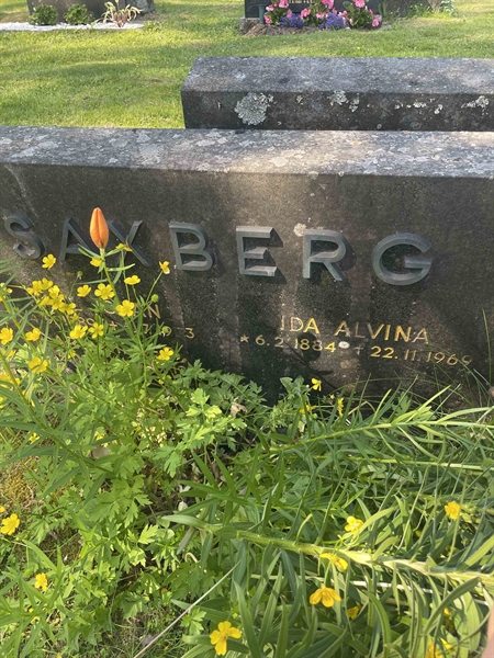 Grave number: N 5 3   350