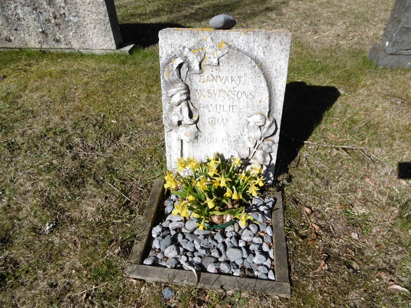Grave number: ROG B   80, 81