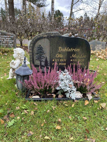 Grave number: 1 29     50