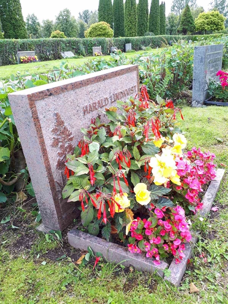 Hautatunnus: NK F C   155-156