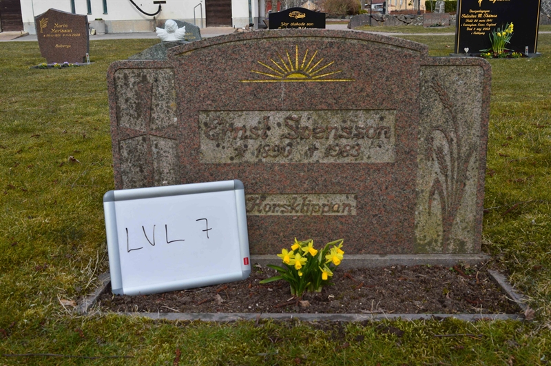 Grave number: LV L     7