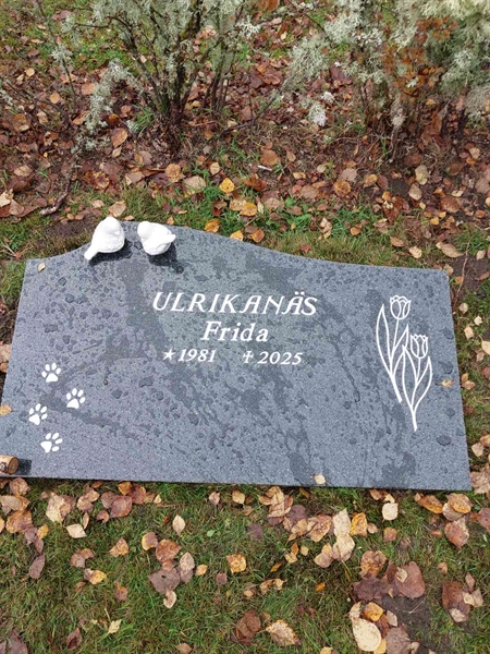 Gravnummer: Å G   163