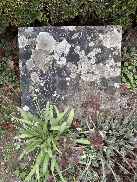 Gravnummer: FA    33