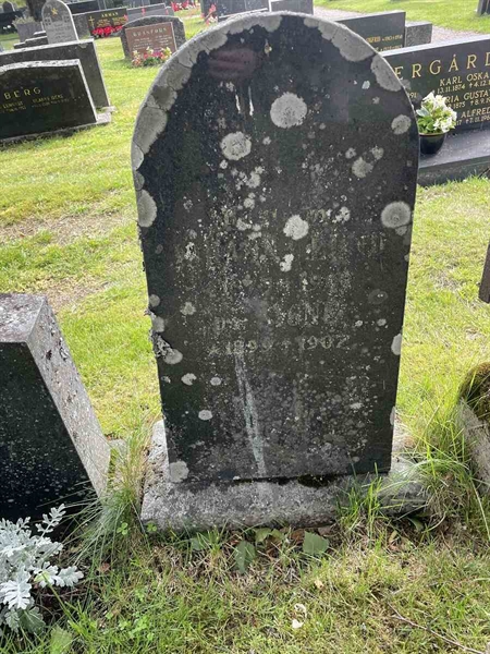Grave number: N 4 2   299