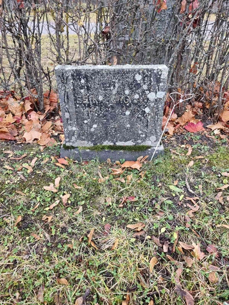 Grave number: 1 20  295